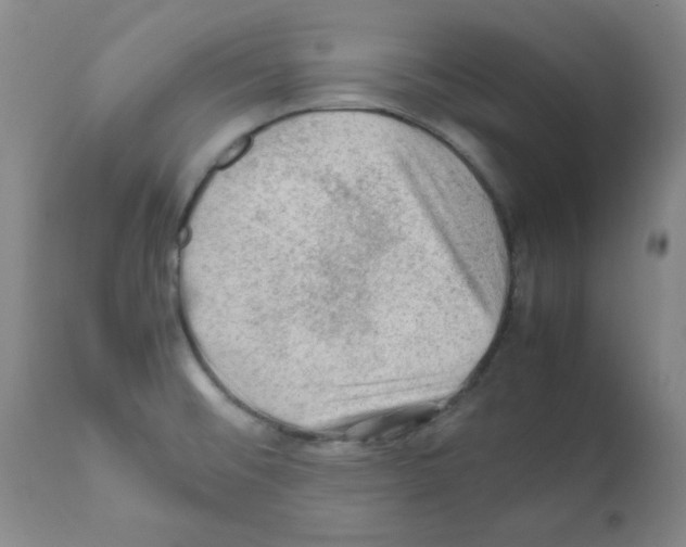 X0000112011476200909141114