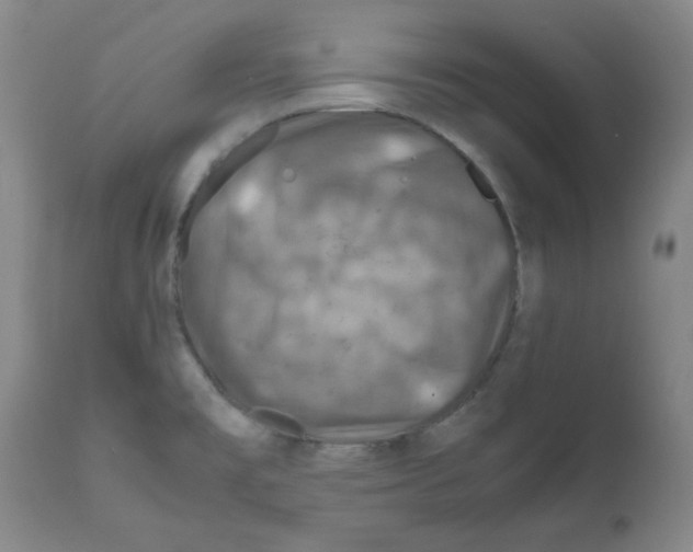 X0000112011477200909141114
