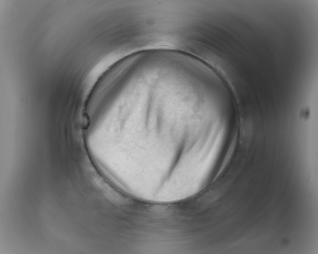 X0000112011480200909141114