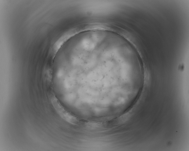 X0000112011481200909141114