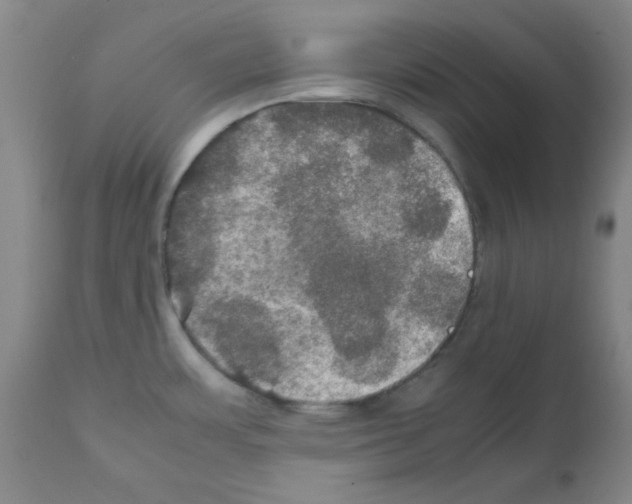 X0000112011483200909141114