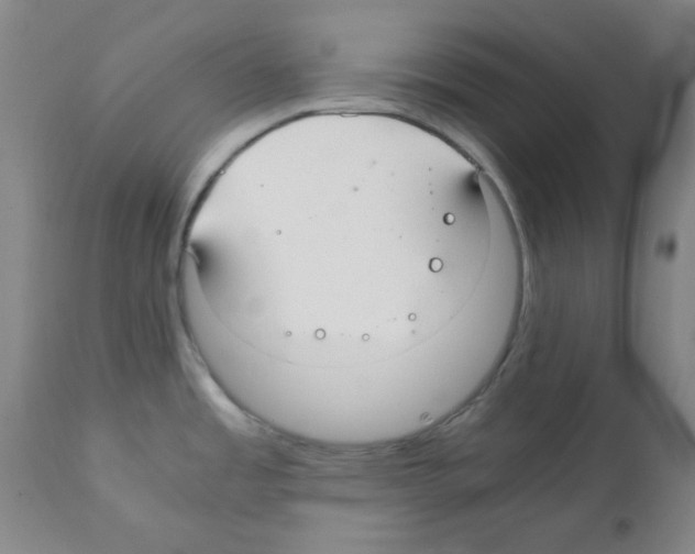 X0000112011485200909141114