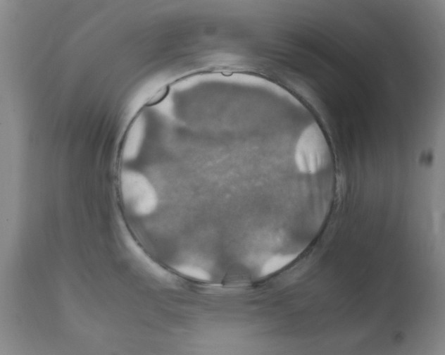 X0000112011487200909141114