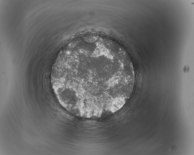 X0000112011489200909141113