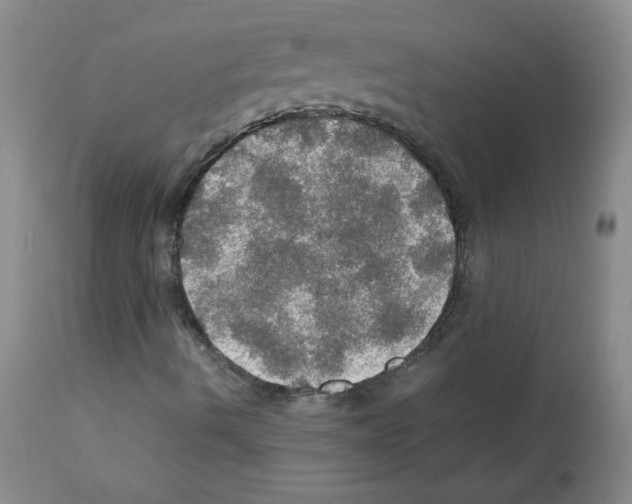X0000112011490200909141113