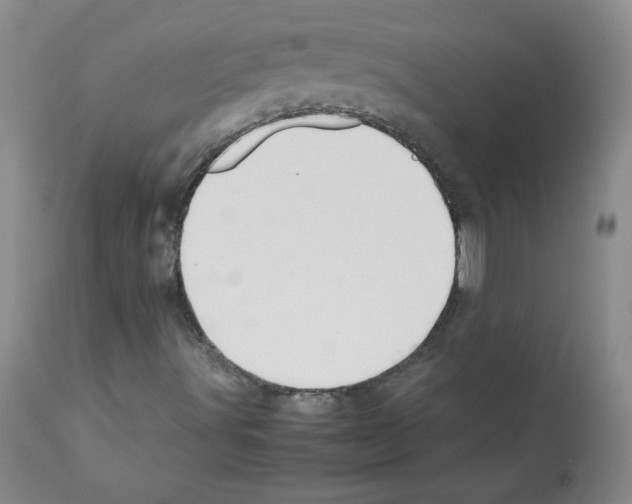 X0000112011491200909141113
