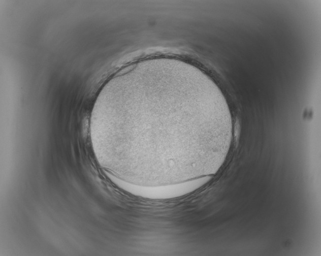X0000112011492200909141113