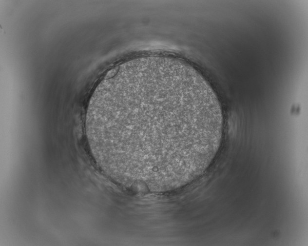 X0000112011493200909141113