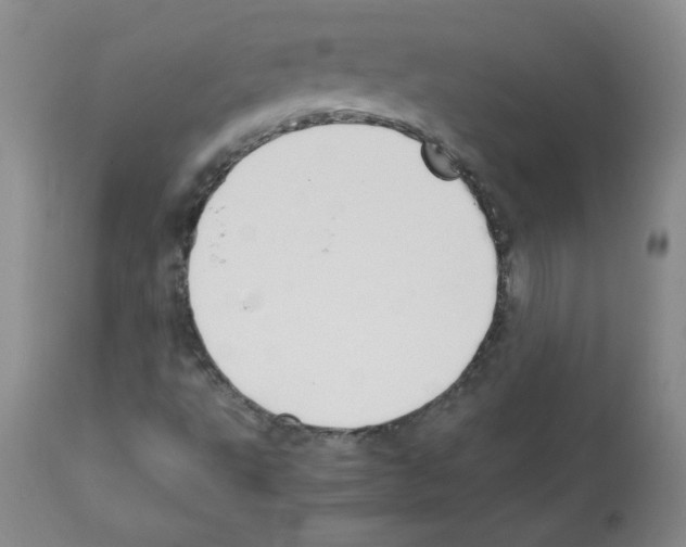 X0000112011495200909141113
