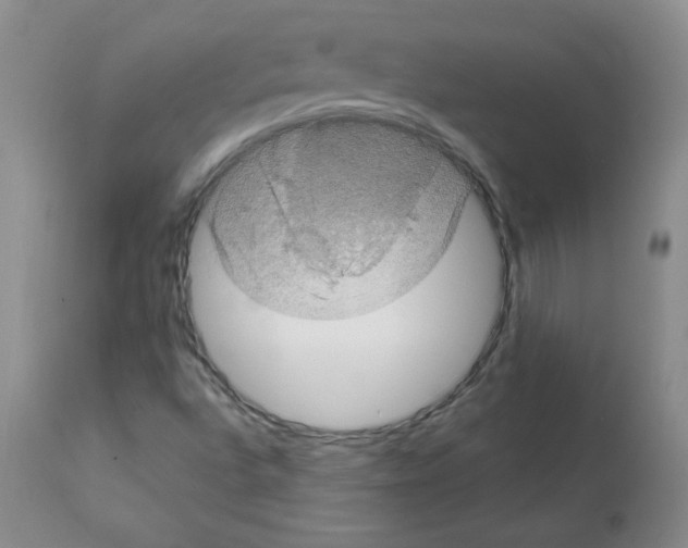 X0000112011496200909141113