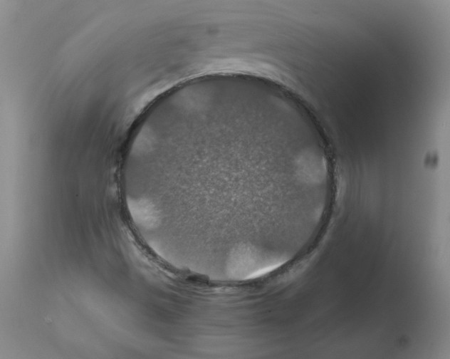 X0000112011497200909141113