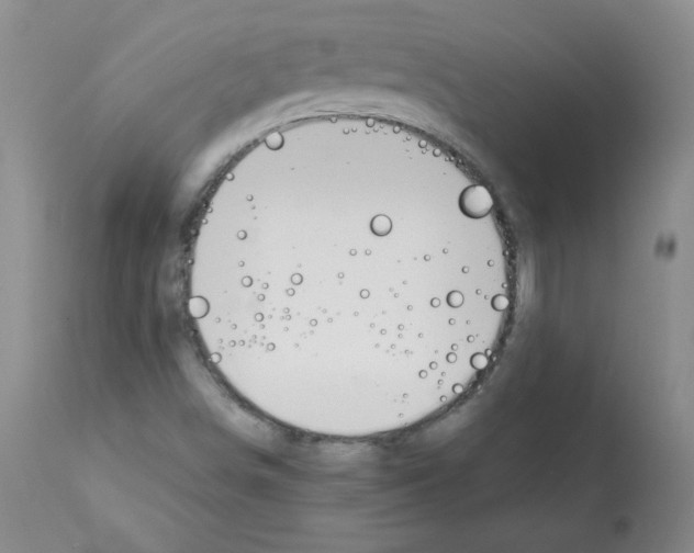 X0000112011498200909141113