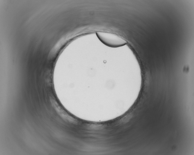 X0000112011499200909141113