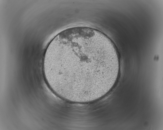 X0000112011500200909141113