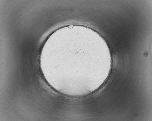 X0000112011502200909141113