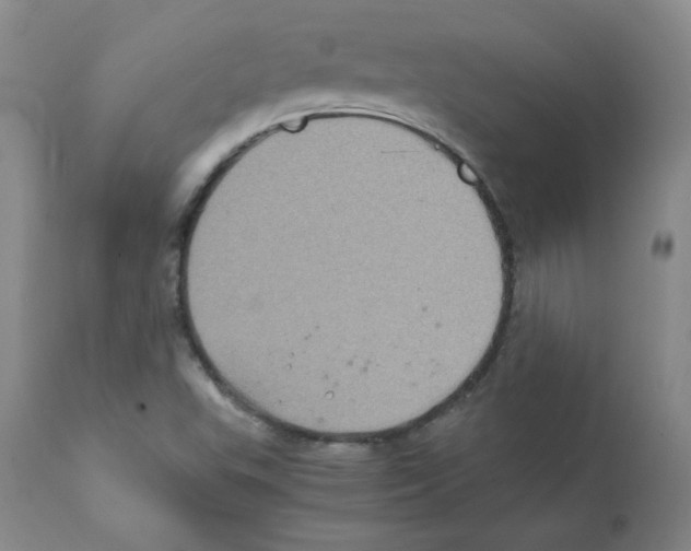 X0000112011503200909141113