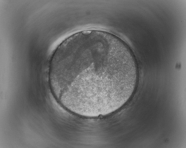 X0000112011504200909141113
