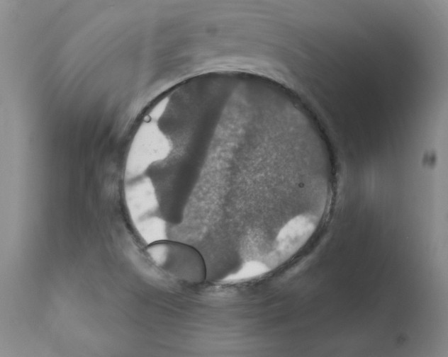 X0000112011505200909141113