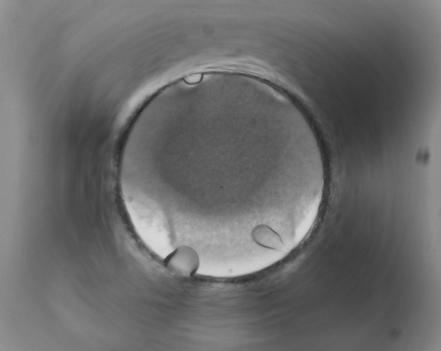 X0000112011506200909141113