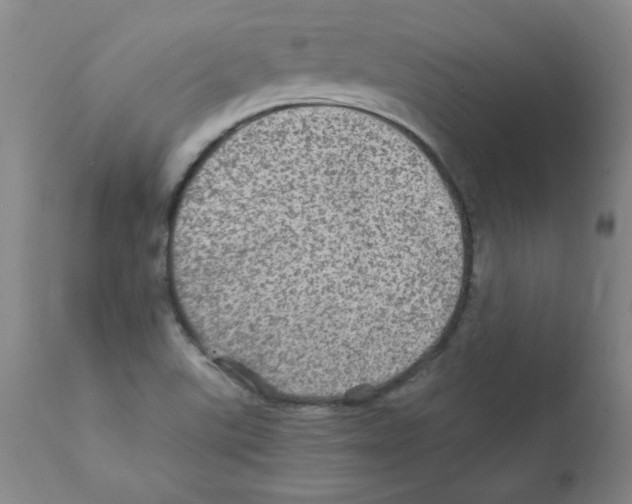 X0000112011507200909141113