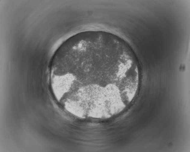 X0000112011509200909141113