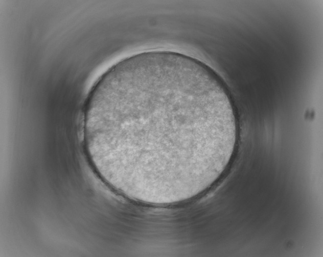 X0000112011510200909141113