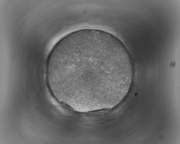X0000112011511200909141113