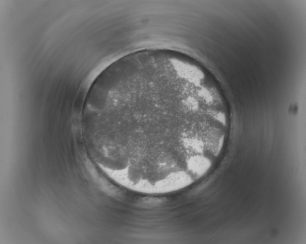 X0000112011513200909141113