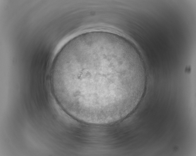 X0000112011514200909141113