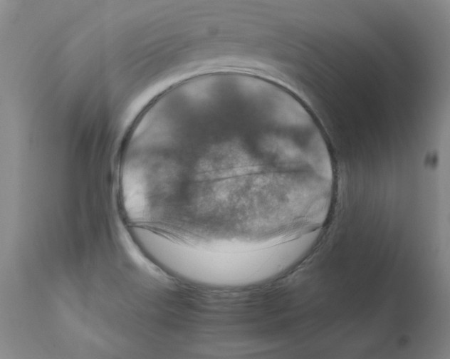 X0000112011515200909141113