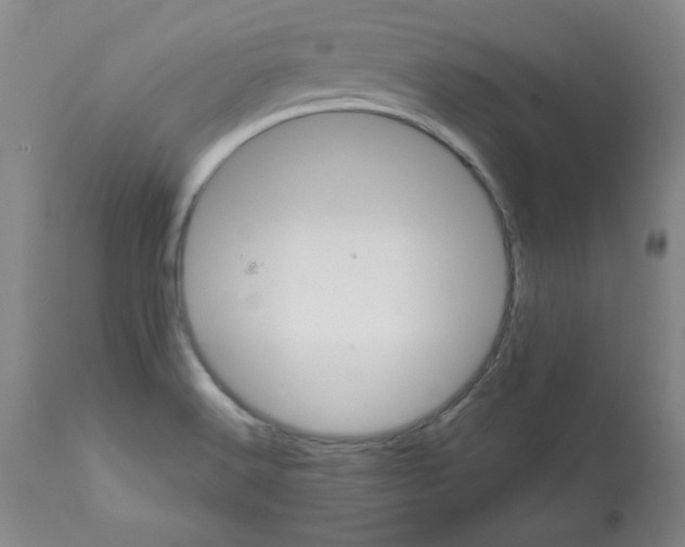 X0000112011516200909141113