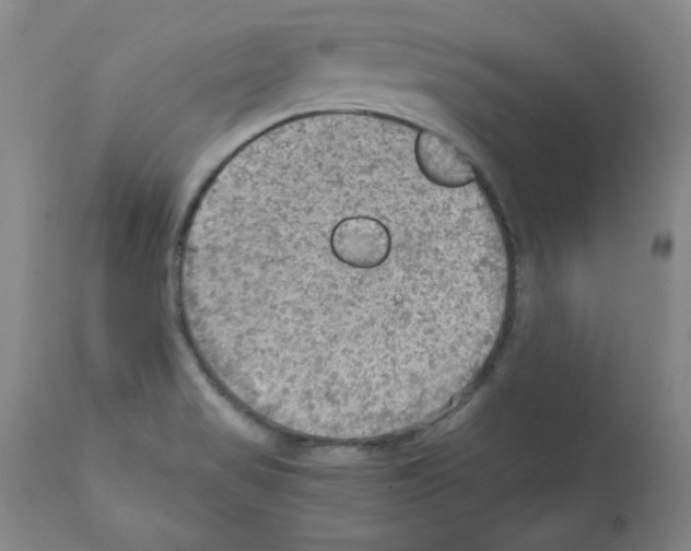X0000112011517200909141113