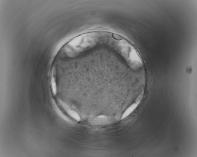 X0000112011519200909141113