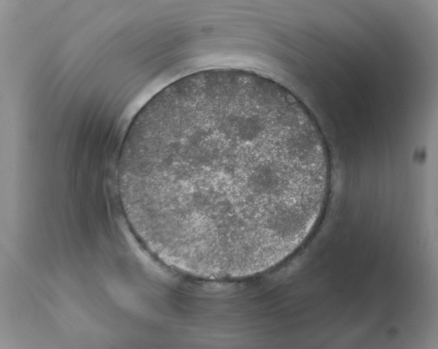 X0000112011521200909141113
