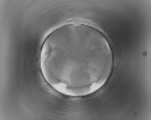 X0000112011522200909141113