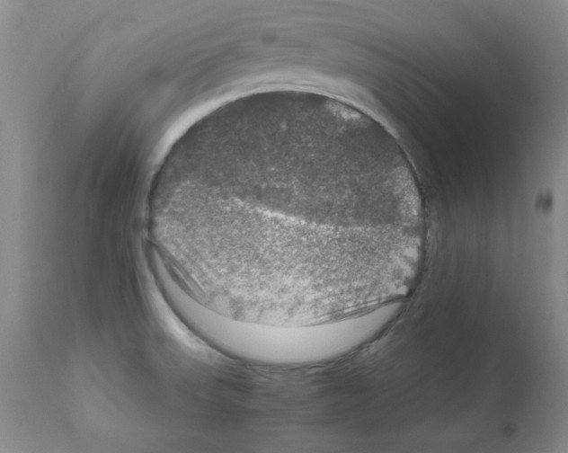 X0000112011523200909141113