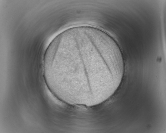 X0000112011524200909141113
