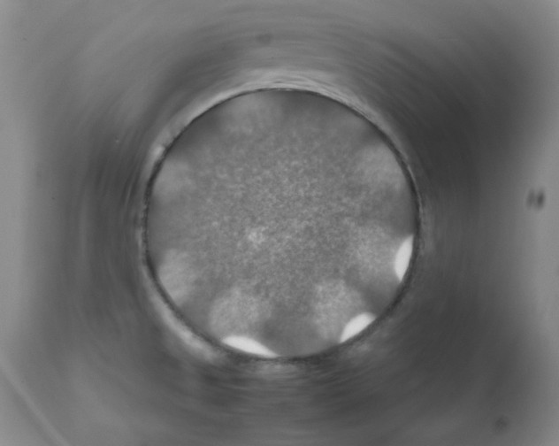 X0000112011525200909141114