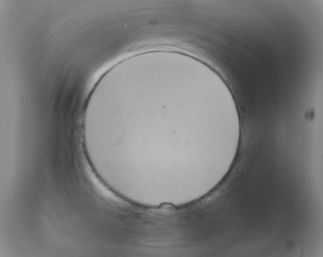 X0000112011526200909141114