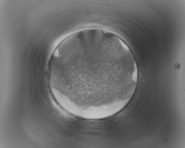 X0000112011527200909141114