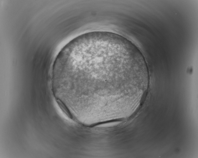 X0000112011528200909141114