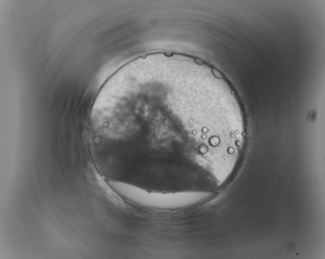 X0000112011529200909141114