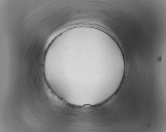 X0000112011530200909141114