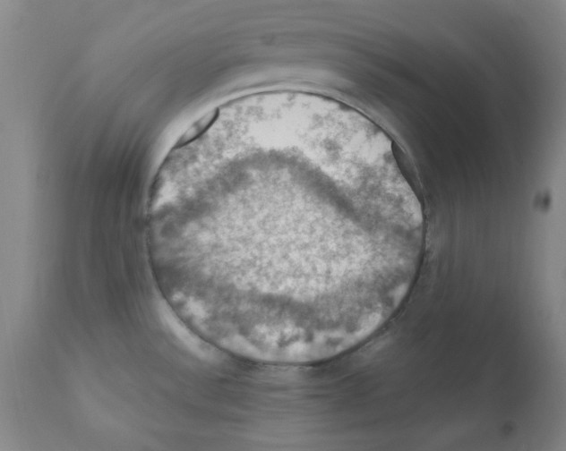 X0000112011532200909141114