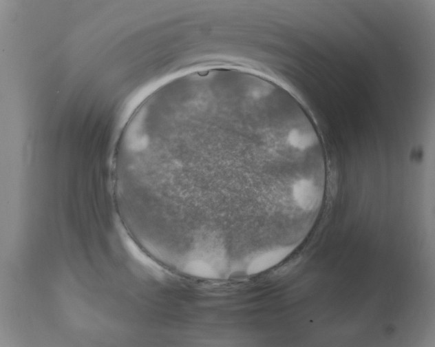 X0000112011535200909141114