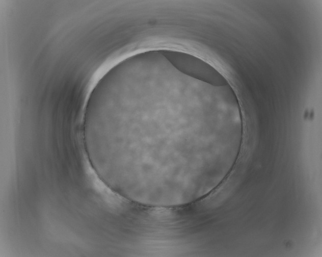 X0000112011536200909141114