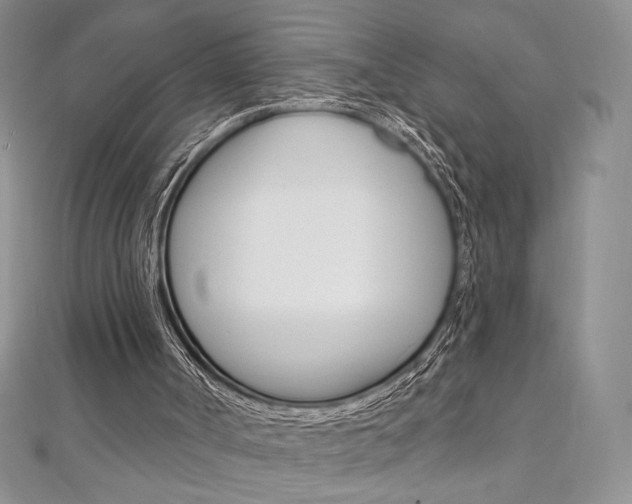 X0000112020002200908031051