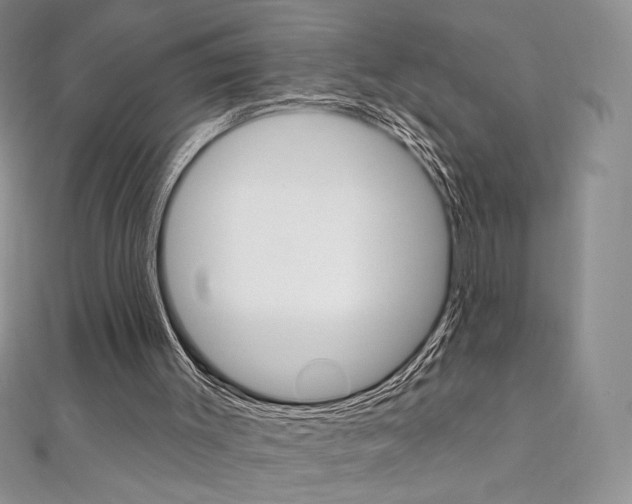 X0000112020003200908031051