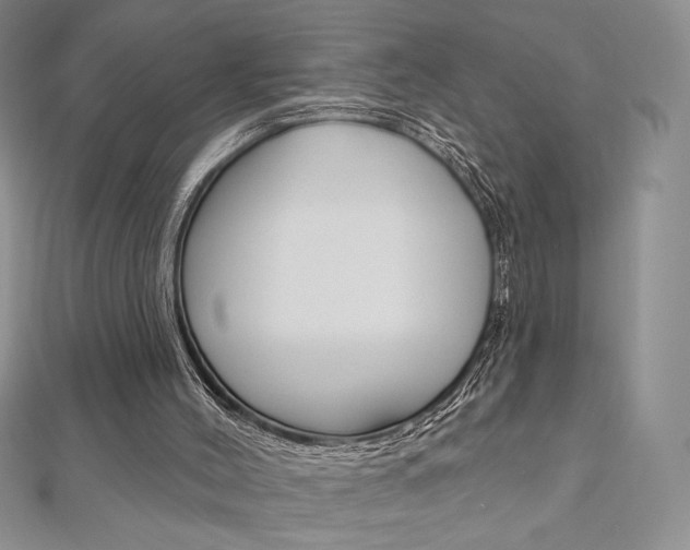 X0000112020004200908031051