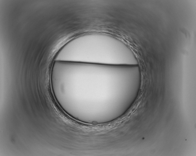 X0000112020005200908031051